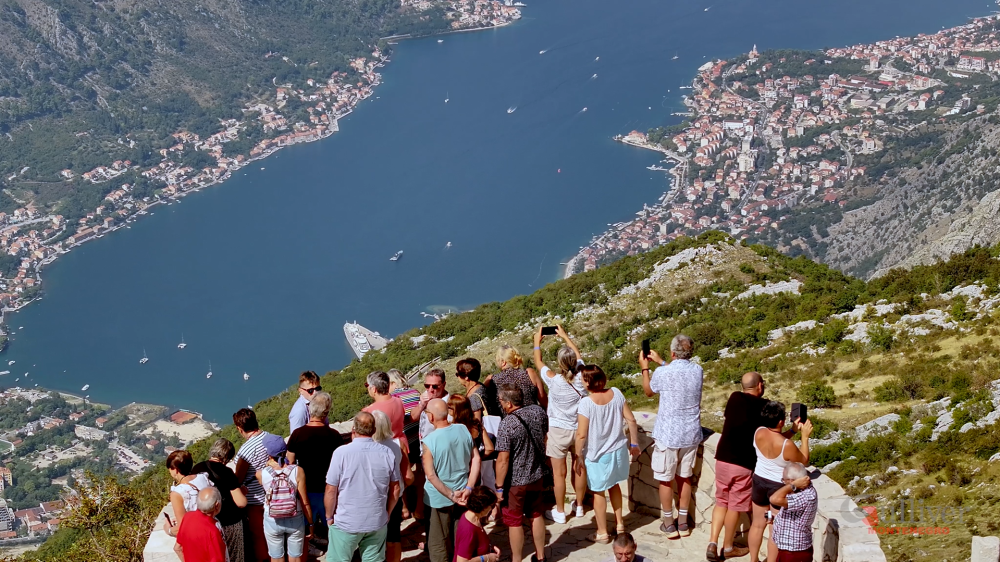 Request for proposal