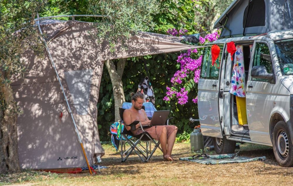 Request for proposal