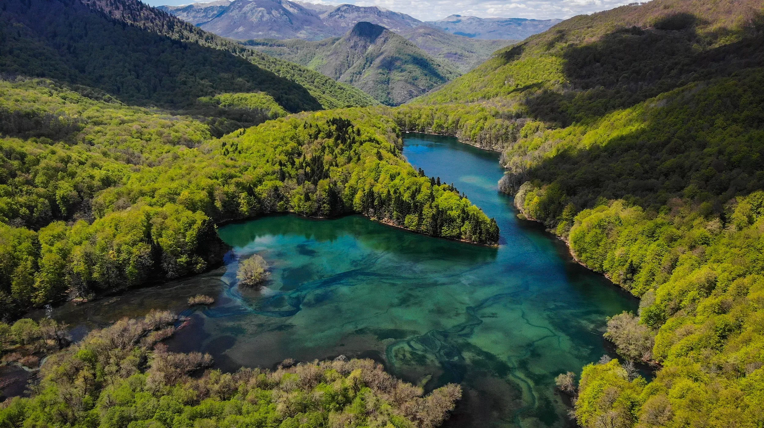 Montenegro Wild Beauty I National Park Biogradska Gora Montenegro Montenegro Wild Beauty I National Park Biogradska Gora Montenegro