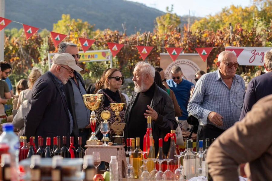 Wild Pomegranate Days in Danilovgrad