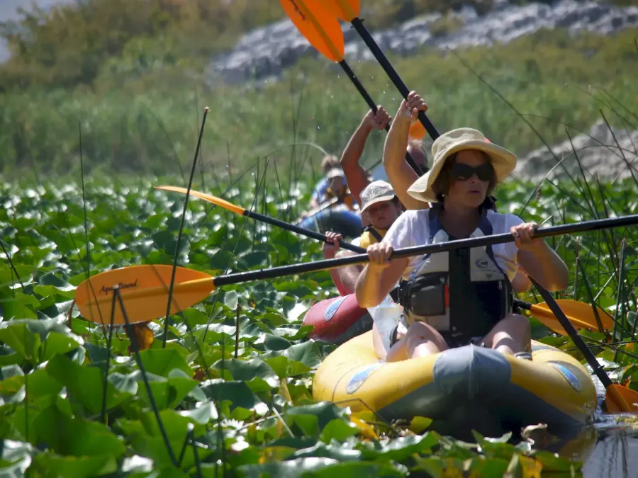 Rijeka Crnojevica:  kayak et paddle
