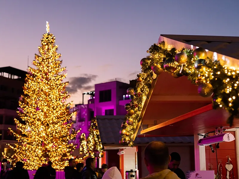 Открытие новогодней ярмарки Portonovi