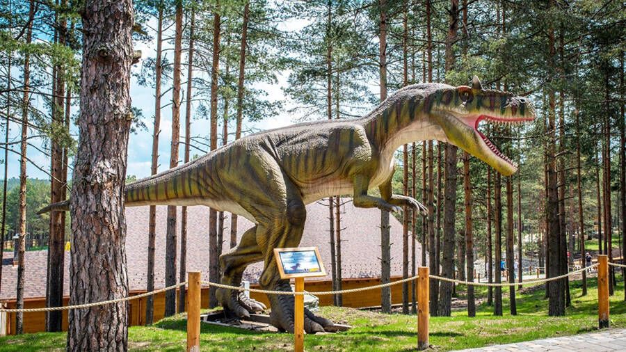 Dinosaur Exhibition in Herceg Novi