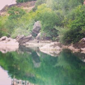 #Moraca #wildbeautymontenegro 