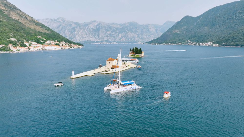 Request for proposal