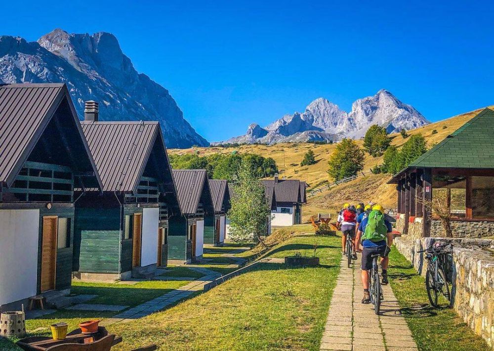 Request for proposal