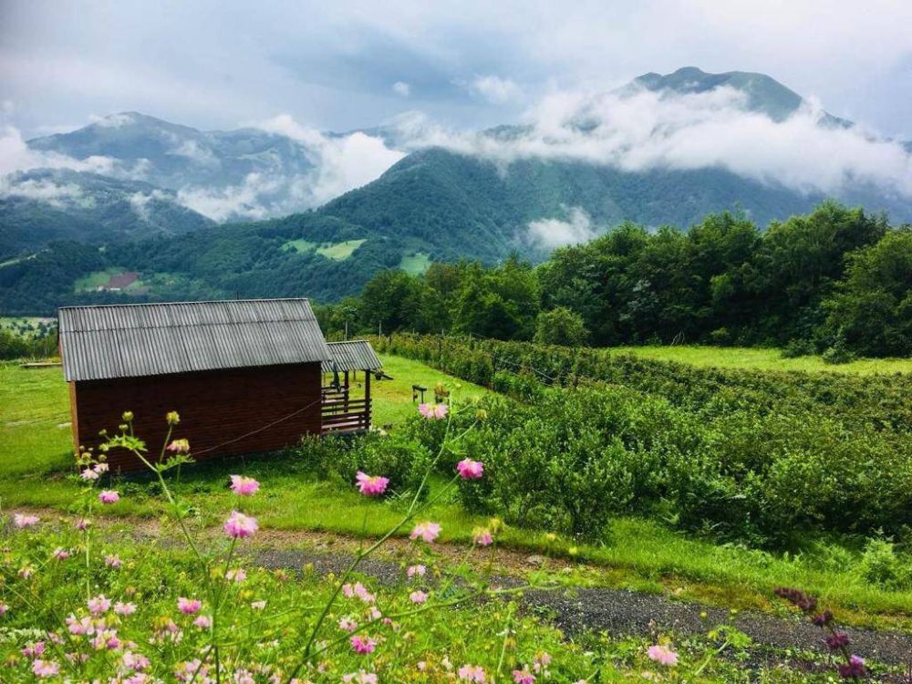 Request for proposal