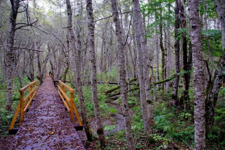 Temporary Closure of Biogradska Gora National Park, Hiking and Biking Trails