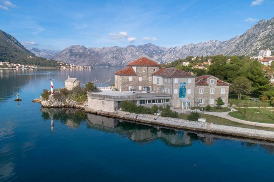 Besplatan ulaz u Akvarijumu Boka u sedmici jubileja Univerziteta Crne Gore