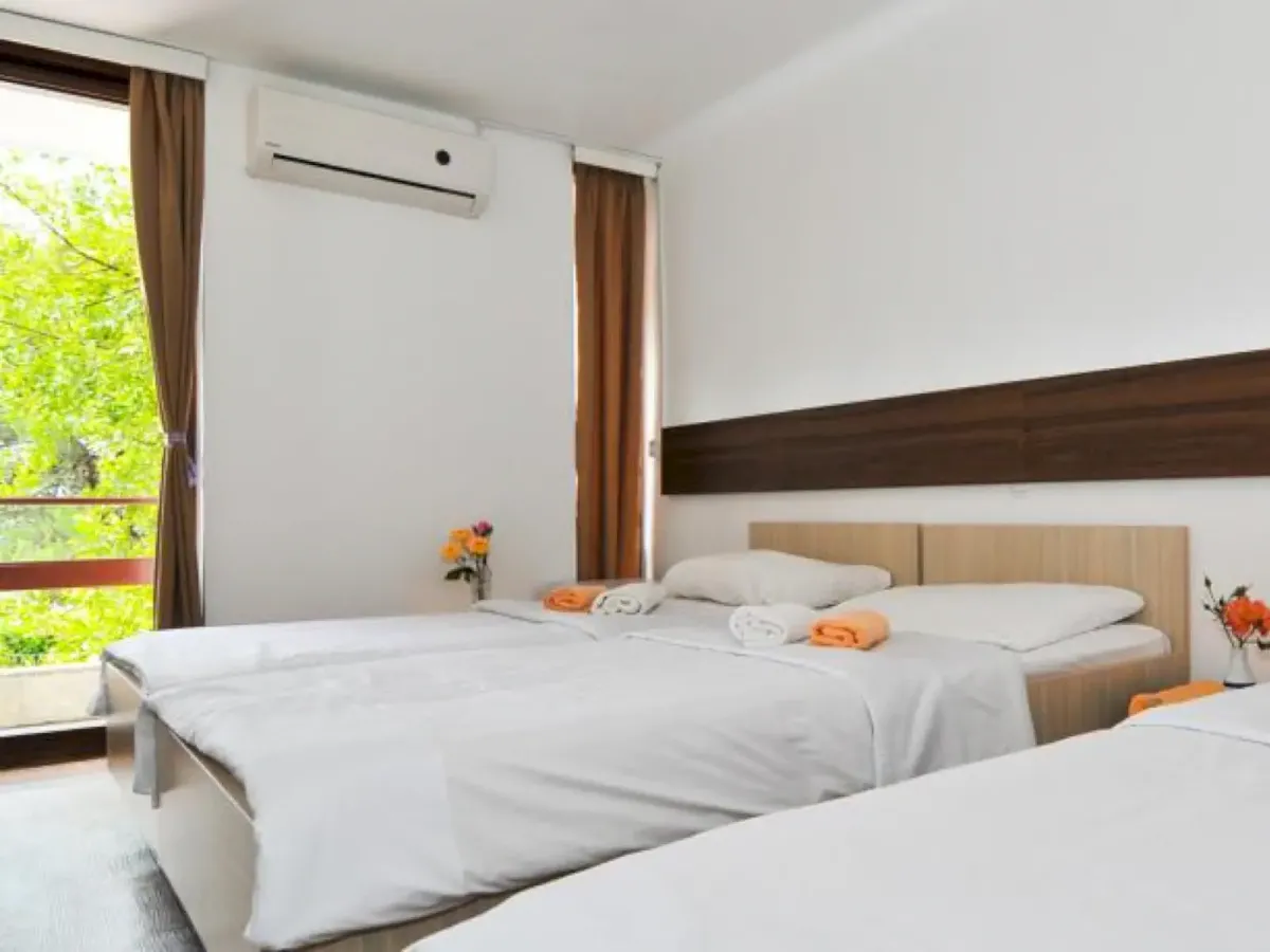 Kamelija | Montenegro