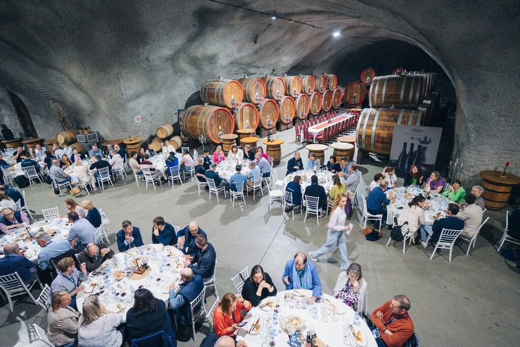 Brajovic travel, Podgorica, Crna Gora