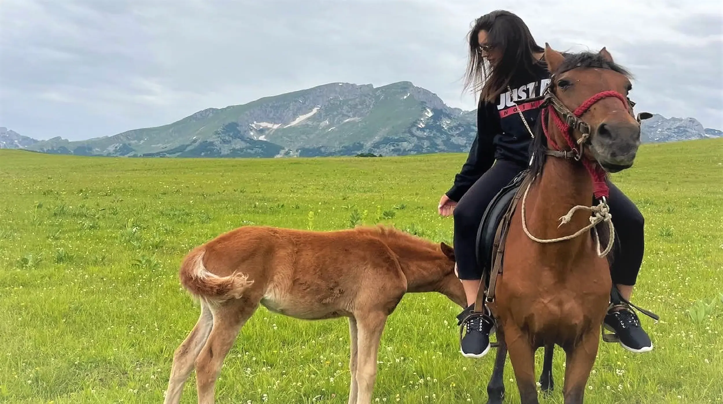 Horse riding Durmitor Montenegro