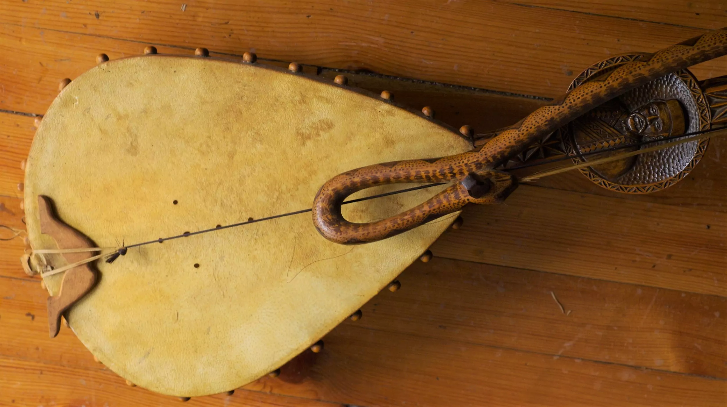 Traditional MOntenegrin instrument Gusle